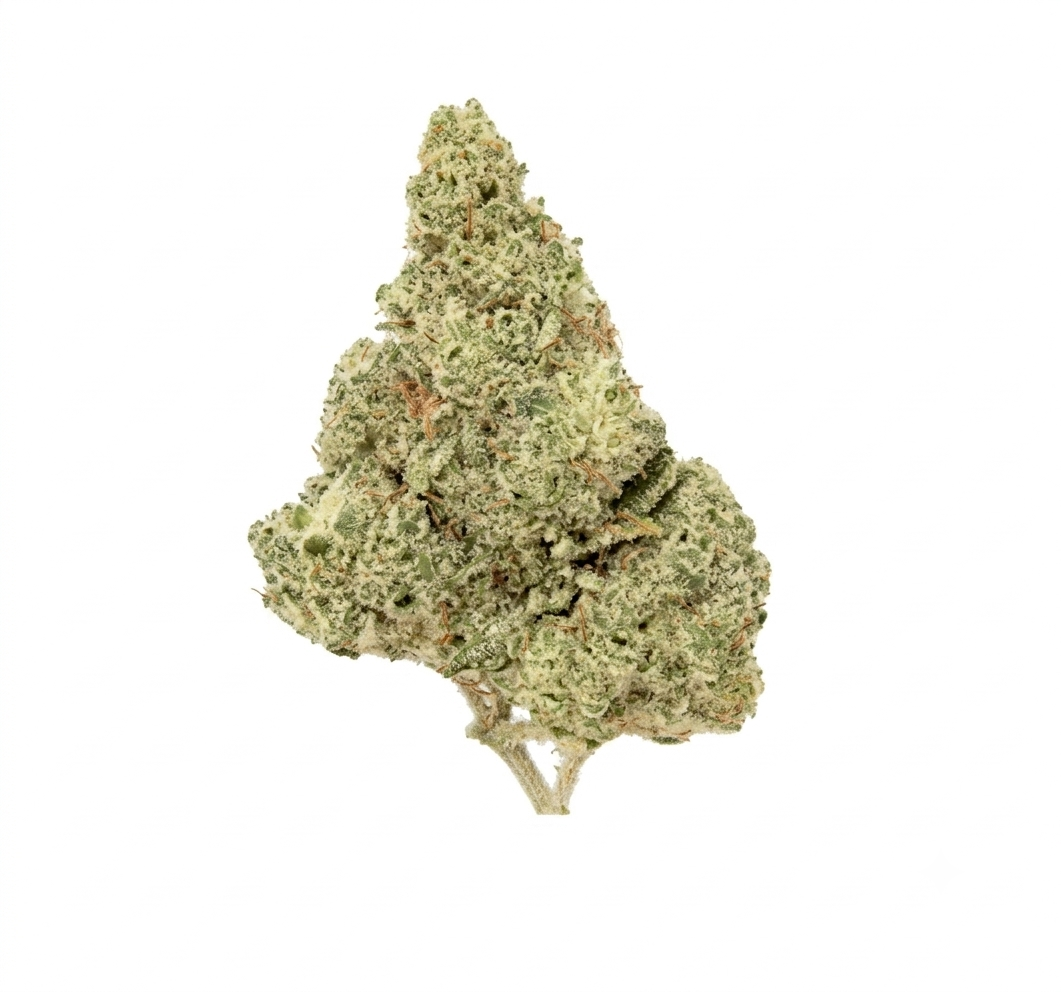 Key Lime Pie